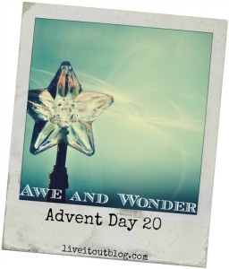 Day 20 Awe and Wonder