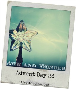 Day 23 Awe and Wonder