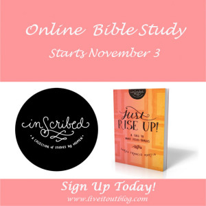 Just Rise online study--pink
